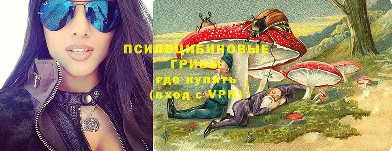 OMG вход  Вышний Волочёк  Псилоцибиновые грибы мухоморы 